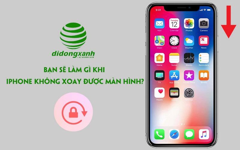 iPhone không xoay được màn hình - Cách xử lý hiệu quả
