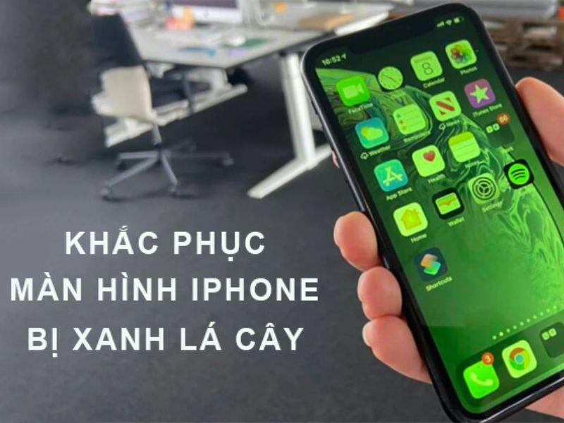 Hướng dẫn khắc phục màn hình iPhone bị xanh lá cây hiệu quả nhanh chóng