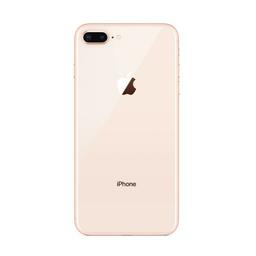 Thay Nắp Lưng iPhone 8 | 8 Plus