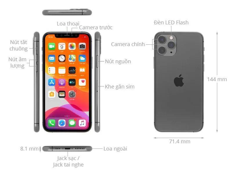 IPhone 11 - Dòng điện thoại ưa chuộng hiện nay