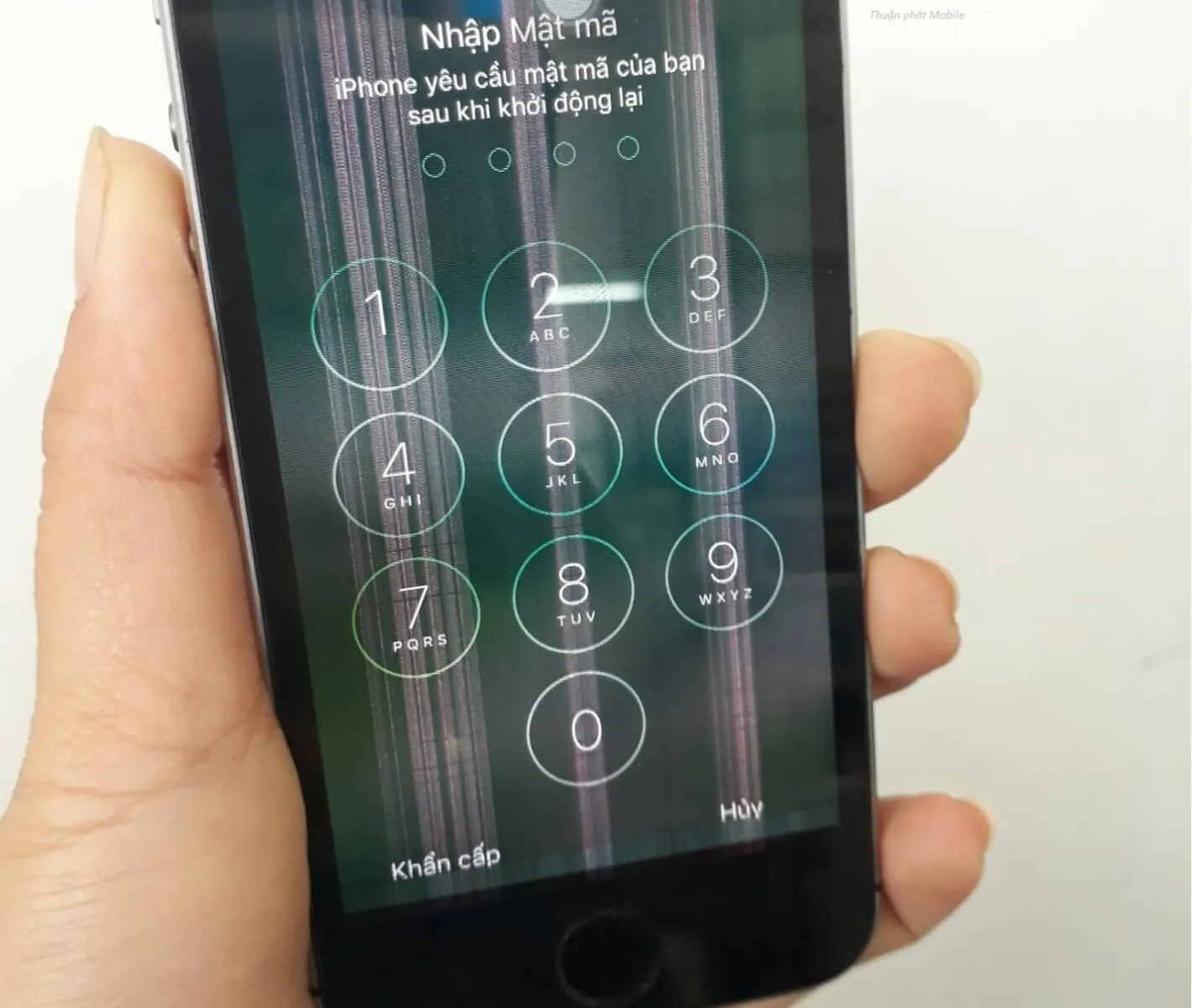 thay màn hình iphone 8 chất lượng