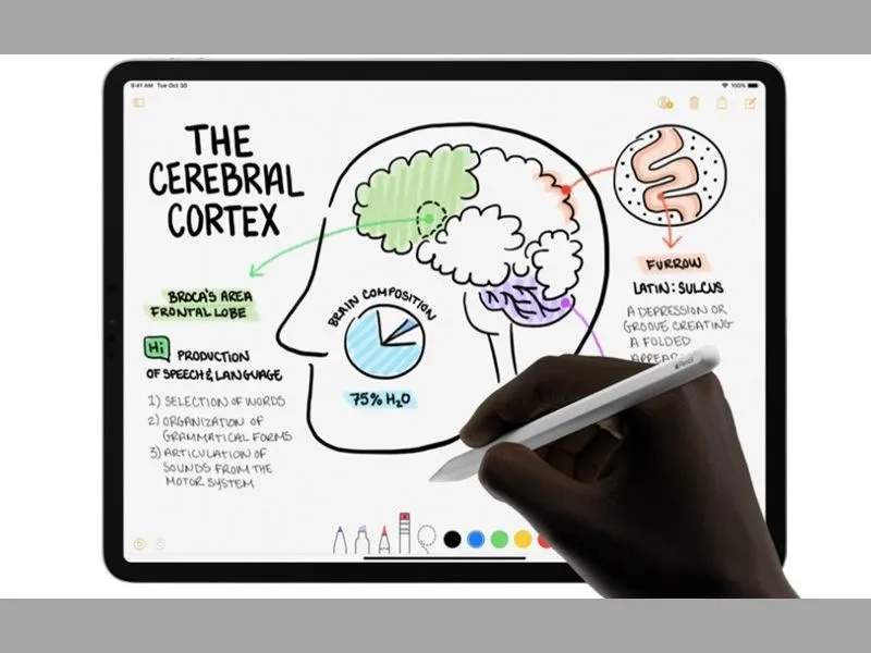 Apple Pencil 2 dùng cho iPad nào tuyệt vời hơn khi kết hợp với iPad Pro 11 inch