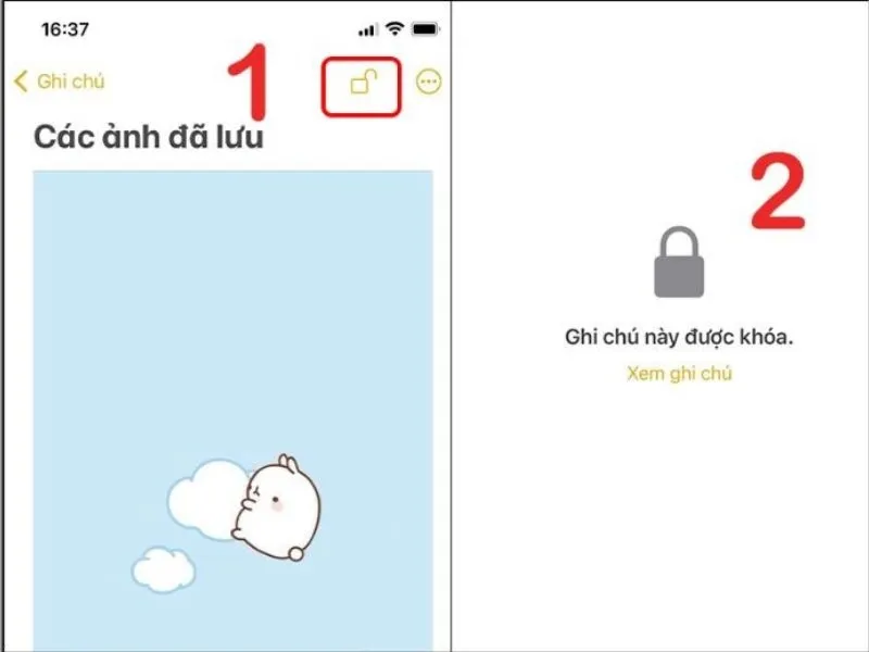 Cách ẩn ảnh trên iPhone thành công