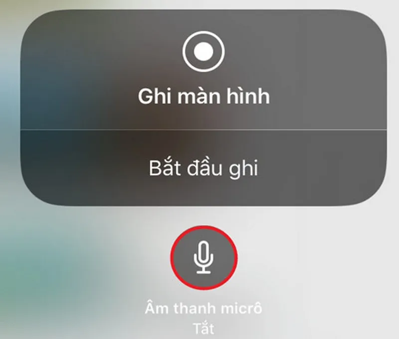 Quay màn hình có tiếng cùng iPhone
