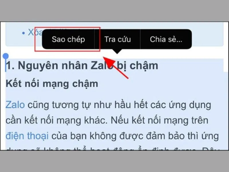 Cách copy chữ trong ảnh trên iPhone đã bôi đậm trước đó