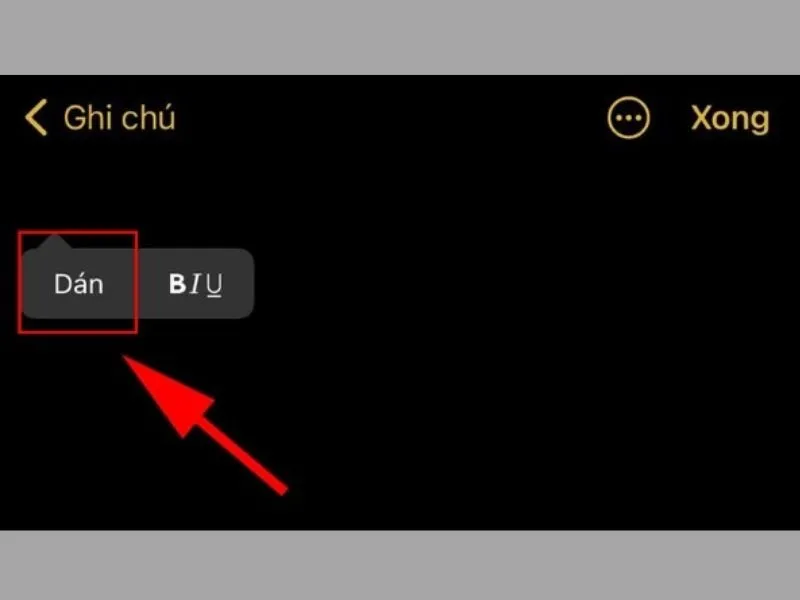 Dán thông tin vừa sao chép vào vị trí trống trên điện thoại iPhone