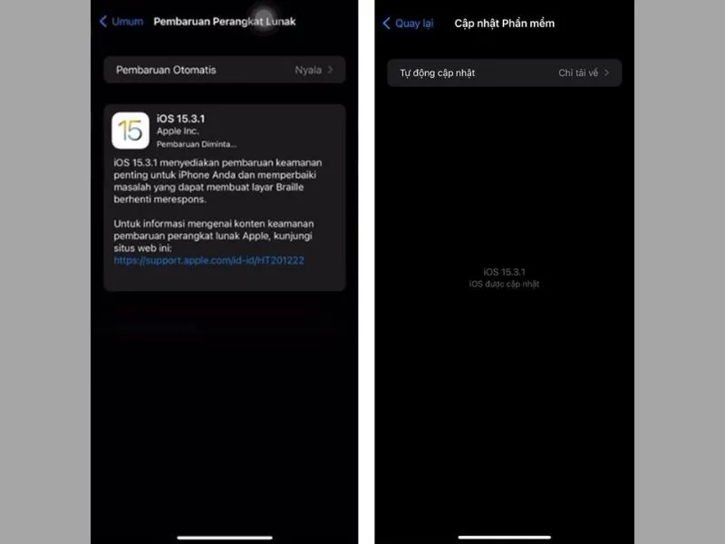 Cách gỡ bỏ phần mềm gián điệp trên iPhone qua cập nhật hệ điều hành