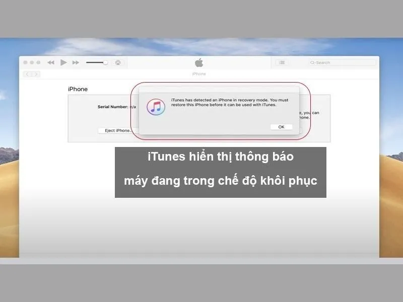 huong dan cach kich pin dien thoai