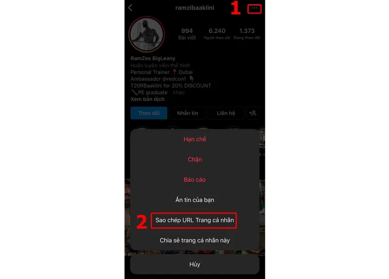 Sao chép URL