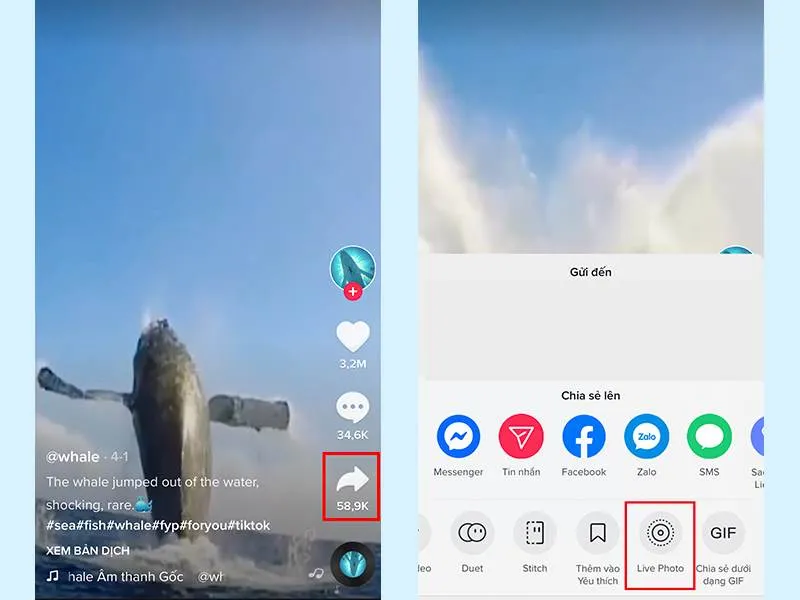 Các bước cài đặt video làm hình nền trên iPhone