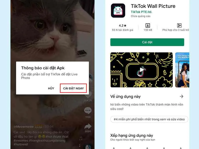 Cài đặt Tiktok Wall Picture để hỗ trợ lấy video làm hình nền