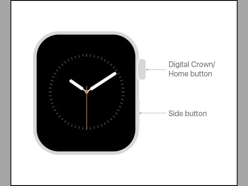 Hướng dẫn cách sử dụng Apple Watch cho người mới dùng