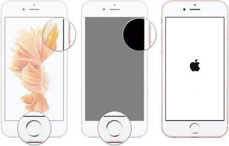 Khắc phục lỗi iPhone tự tắt màn hình tạm thời