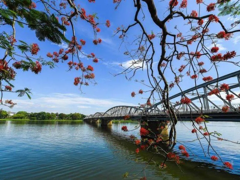 Yêu thích dòng Sông Hương xứ Huế thì đây là bức ảnh nền đặc biệt cho bạn