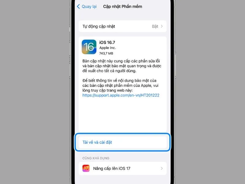 Hãy cập nhật hệ điều hành iOS mới nhất