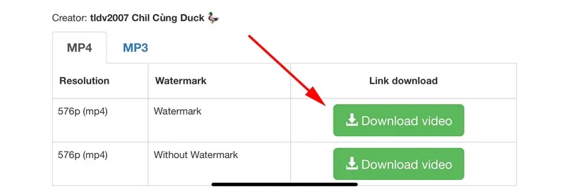 Lưu video TikTok không có logo cho iPhone bằng x2convert
