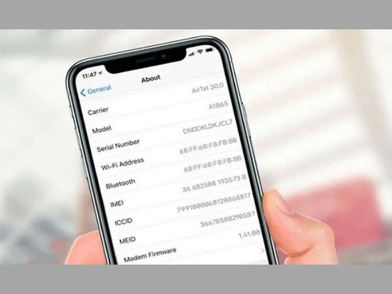 Thông tin về số máy trên điện thoại iPhone để người dùng có thể kiểm tra