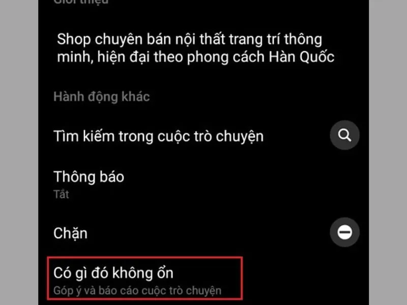 Báo cáo đoạn hội thoại là cách chặn Spam tin nhắn trên messenger là gì