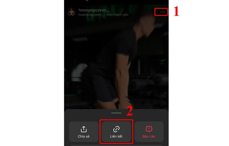 lay lien ket video tren instagram
