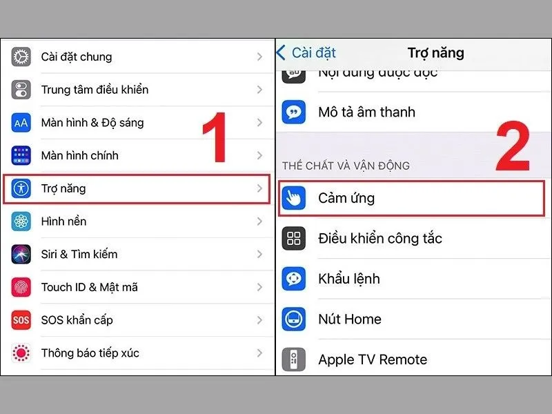 Bật trợ năng và cảm ứng trên cài đặt