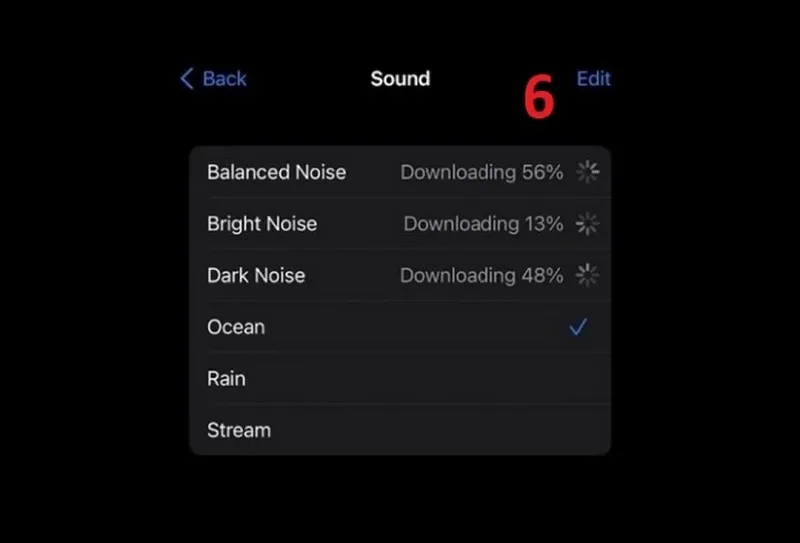 Hiển thị danh sách gồm 6 âm thanh nền trên iPhone