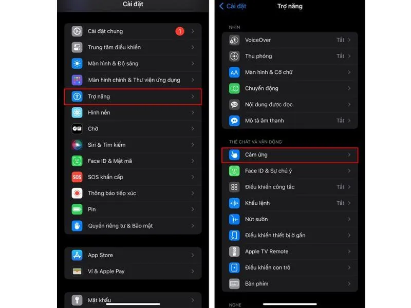 Cách bật Haptic Touch trên iOS 17 vào hai mục như hình ảnh minh họa
