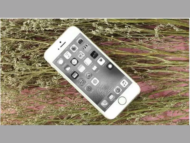 Cách bật màn hình đen trắng cho iPhone cực đơn giản