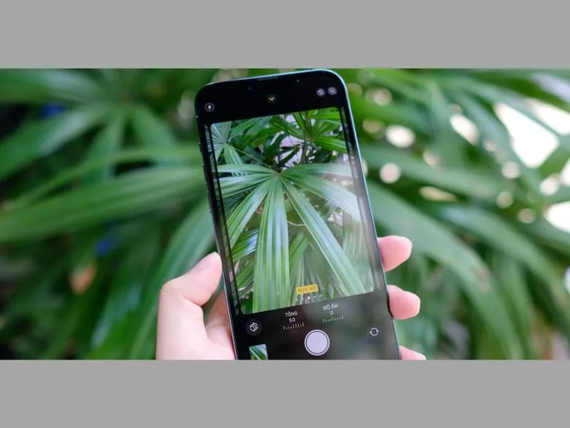 Cách chụp ảnh đẹp trên iPhone 13 Pro Max với Macro