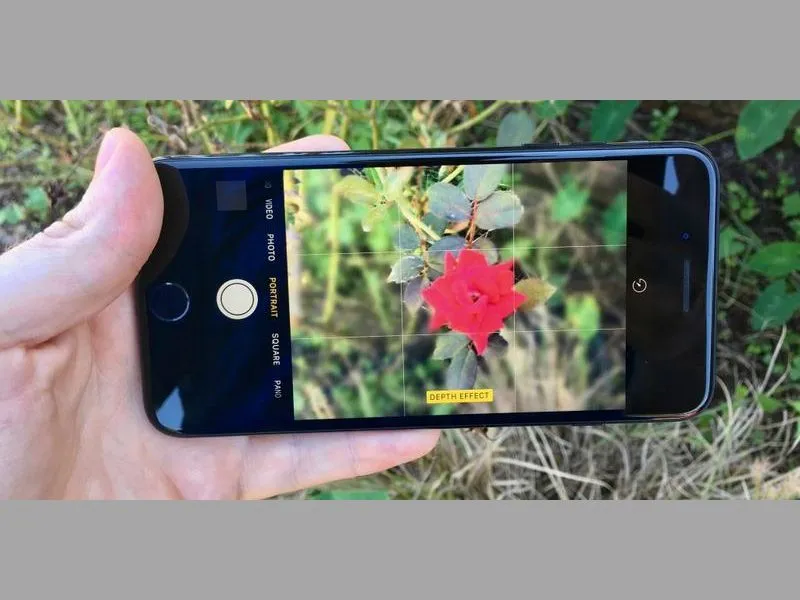 Cách chụp ảnh làm mờ hậu cảnh trên iPhone