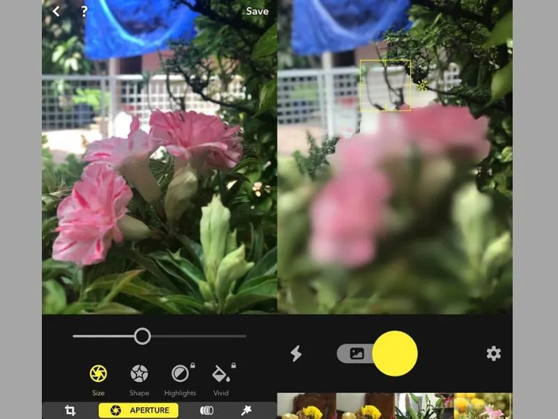 Cách chụp ảnh làm mờ hậu cảnh trên iPhone bằng app đẹp