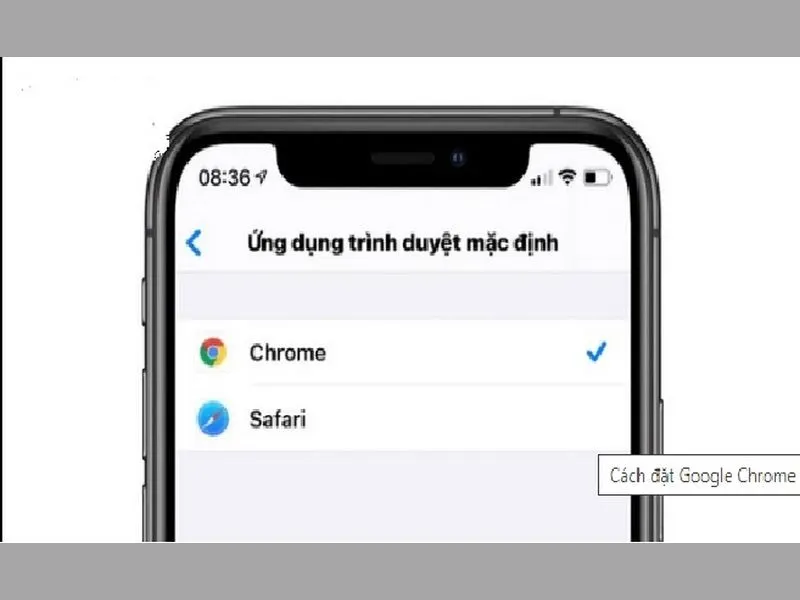 Sử dụng Chrome để dịch trang web trên safari ngay trên IOS