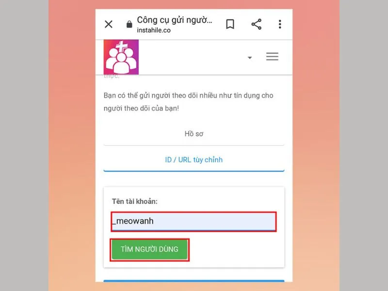 Lưu ý khi đặt tên người dùng Instagram cho hồ sơ của bạn