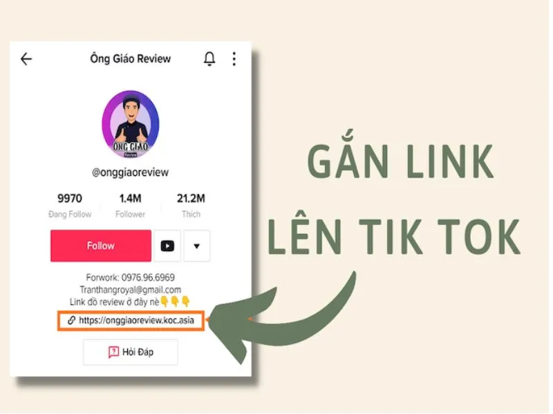 cach gan link bio san pham tren tiktok