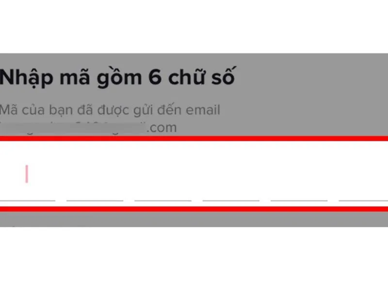 Cách lấy lại tài khoản Tiktok bằng ID - Điền mã số gồm 6 số
