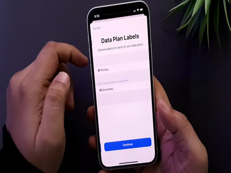 Cách sử dụng iPhone 12 Pro Max đổi tên eSIM