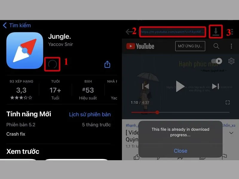 Cài đặt Jungel 