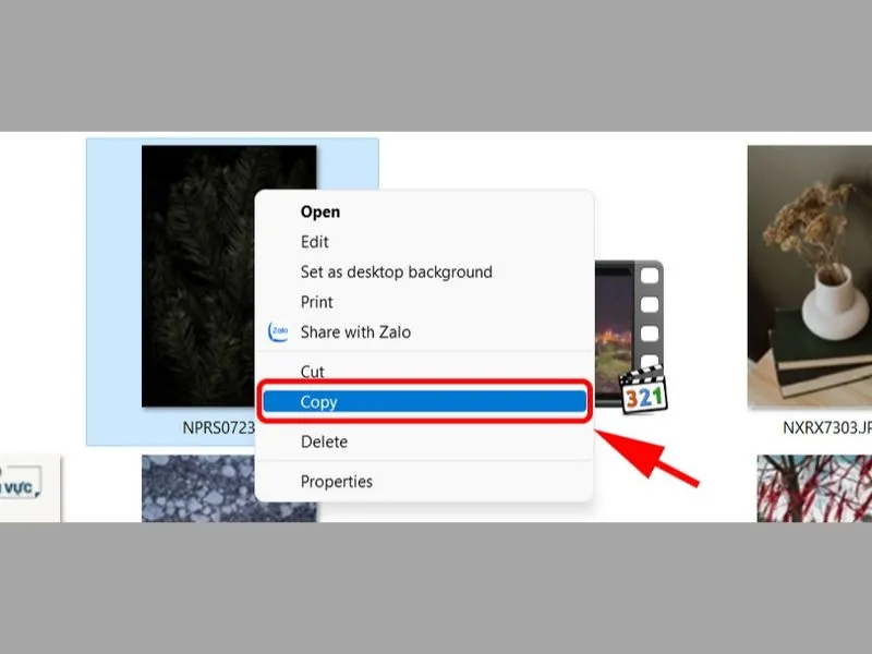 Chọn và copy ảnh cần tải từ iPhone của bạn về máy tính