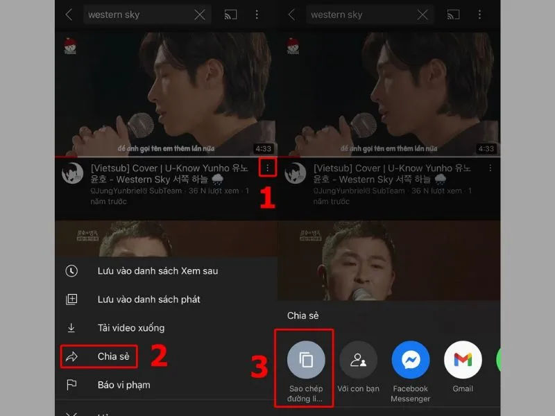Lấy liên kết Video bạn cần tải nhạc về từ Youtube trên iPhone