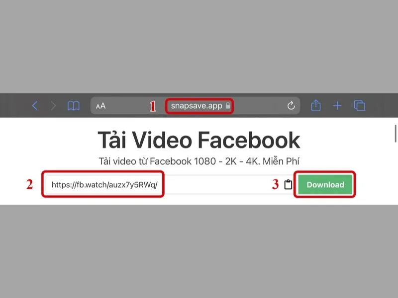 Sử dụng công cụ trực tuyến Snapsave để tải video trên Facebook về iPhone