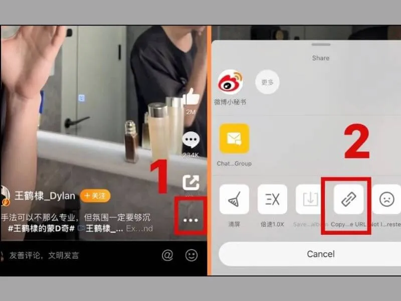 sao chép địa chỉ url video