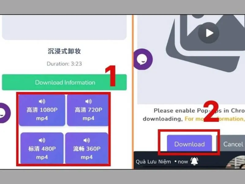 lựa chọn chất lượng video cần tải xuống