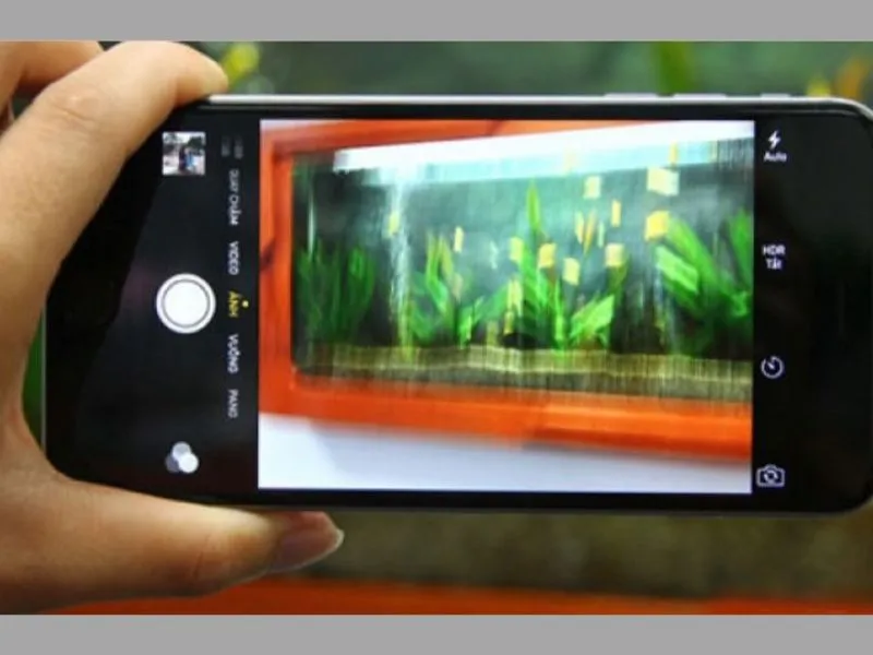 Cách test camera iPhone 12 pro max về độ nhiễu