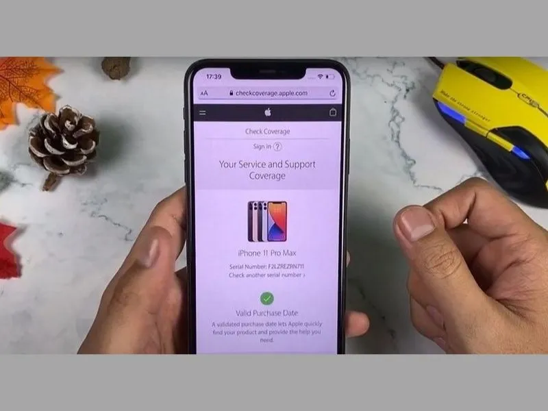 Cách test iPhone 12 với con số IMEI được in phía sau lưng chiếc iPhone