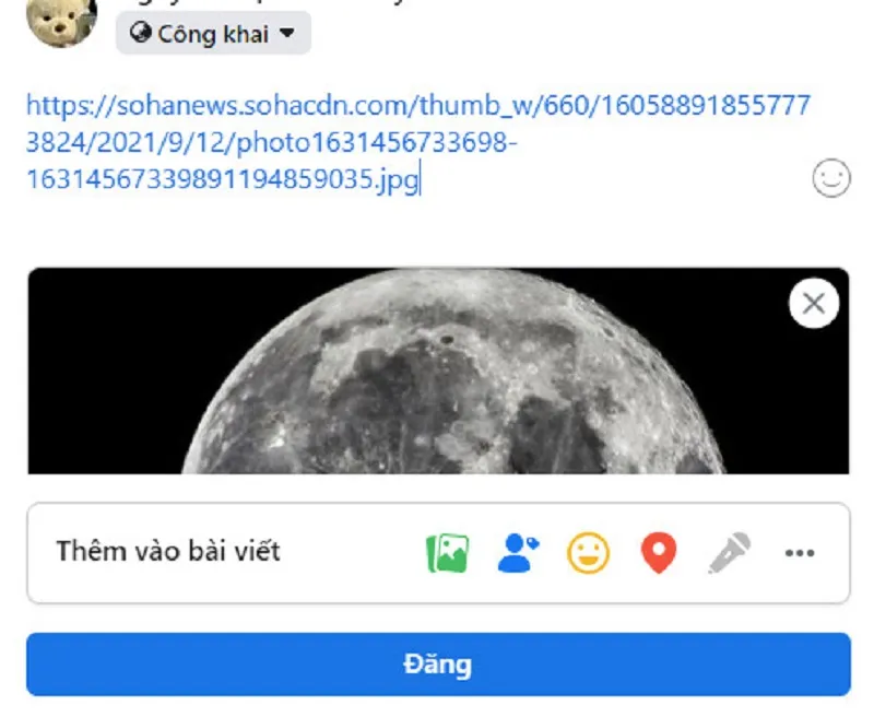 Chỉnh sửa và đăng