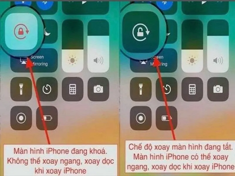  iPhone 6S Plus, 8, 9, X, Xs Max