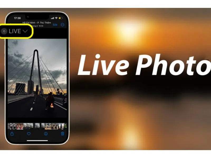 Cách xuất ảnh Live Photo thành video - Tính năng Live Photo