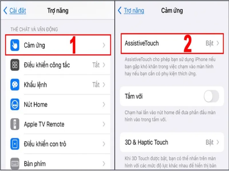 Chọn mục Cảm ứng