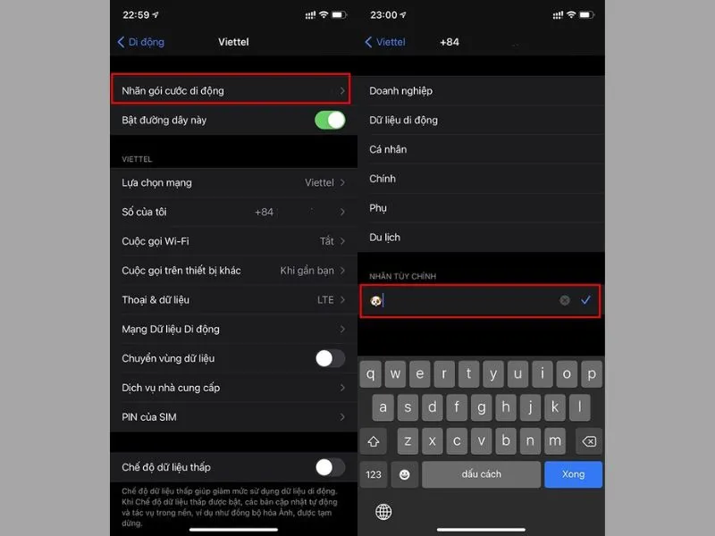 Thay đổi tên nhà mạng trên iPhone siêu dễ