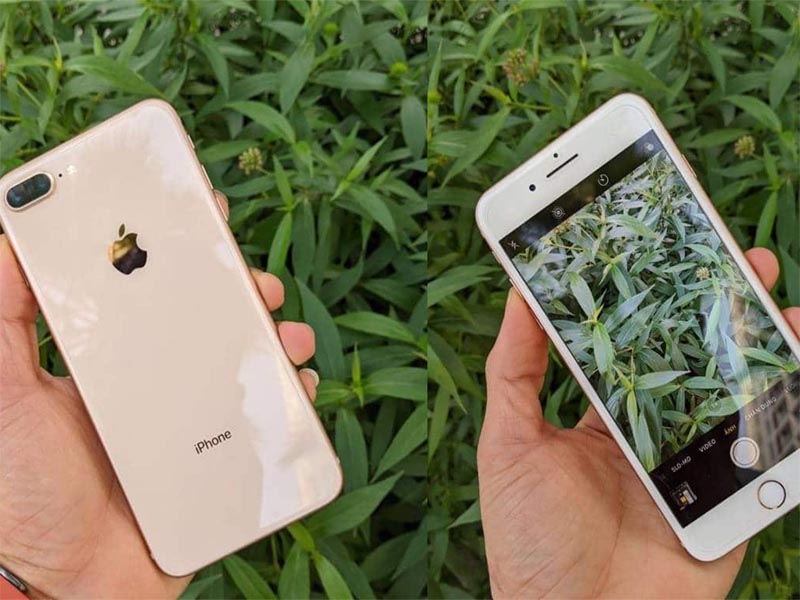 iPhone 8 Plus 128GB Giá Bao Nhiêu Năm 2023 - Cập Nhật Mới Nhất