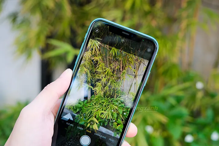 Chụp bằng iPhone 11 màu sắc ảnh cực chân thực 